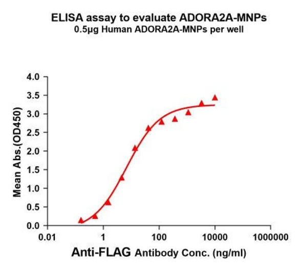 Human ADORA2A Full-Length Bioactive Membrane Protein (HDFP139)