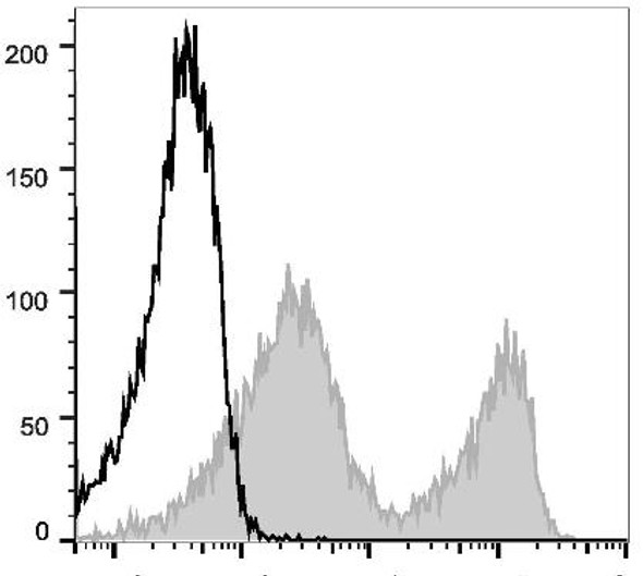 GenieFluor 488 Anti-Mouse CD90.2 Antibody [30H12] (AGEL1220)