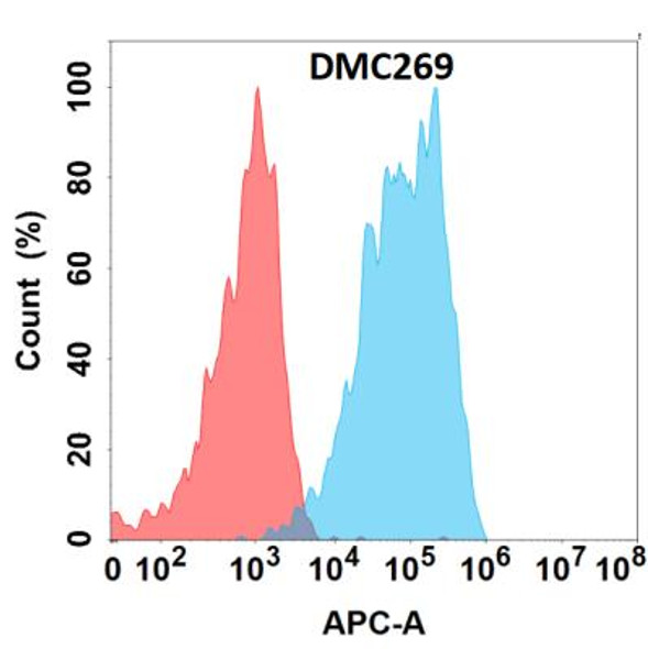 Anti-CD44 Chimeric Recombinant Rabbit Monoclonal Antibody (HDAB0227)