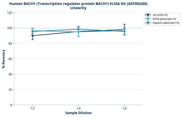 Human BACH1 (Transcription regulator protein BACH1) ELISA Kit (AEFI00260)