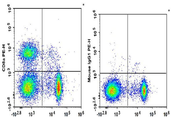 PE Anti-Rat CD8a Antibody [OX-8] (AGEL1265)