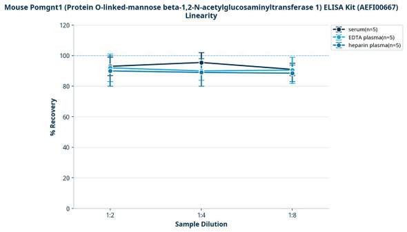 Mouse Pomgnt1 (Protein O-linked-mannose beta-1,2-N-acetylglucosaminyltransferase 1) ELISA Kit (AEFI00667)