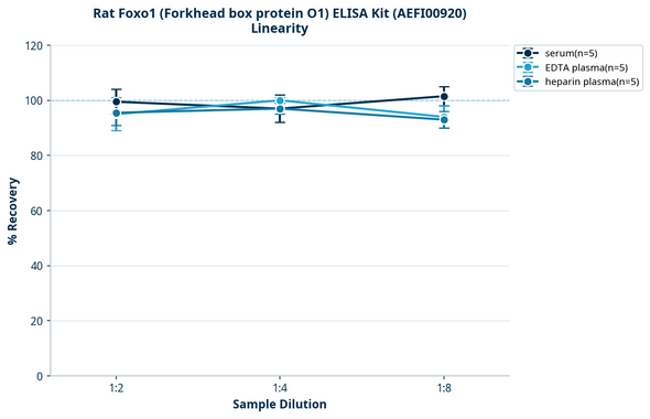Rat Foxo1 (Forkhead box protein O1) ELISA Kit (AEFI00920)