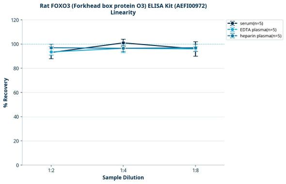 Rat FOXO3 (Forkhead box protein O3) ELISA Kit (AEFI00972)