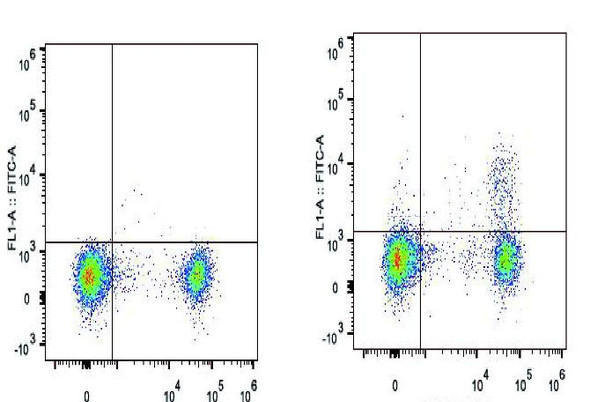 GenieFluor 488 Anti-Mouse CD25 Antibody [PC-61.5.3] (AGEL1312)