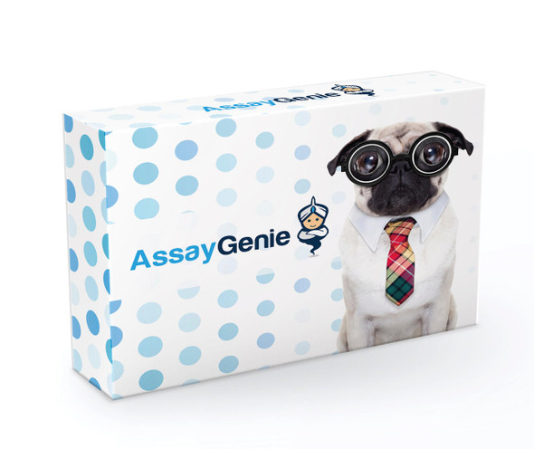 Canine MSTN (Growth/differentiation factor 8) ELISA Kit