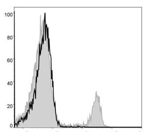 FITC Anti-Mouse CD8a Antibody [53-6.7] (AGEL1336)