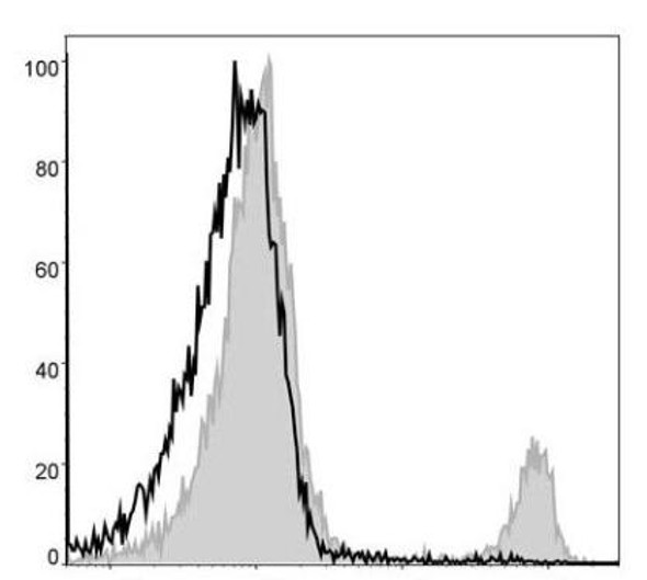 PerCP Anti-Mouse CD8a Antibody [53-6.7] (AGEL1339)