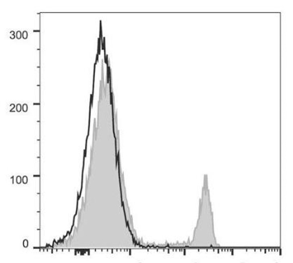 PerCP/Cyanine5.5 Anti-Mouse CD8a Antibody [53-6.7] (AGEL1343)