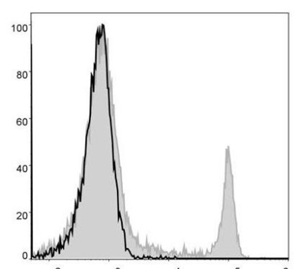 GenieFluor 488 Anti-Mouse CD8a Antibody [53-6.7] (AGEL1344)