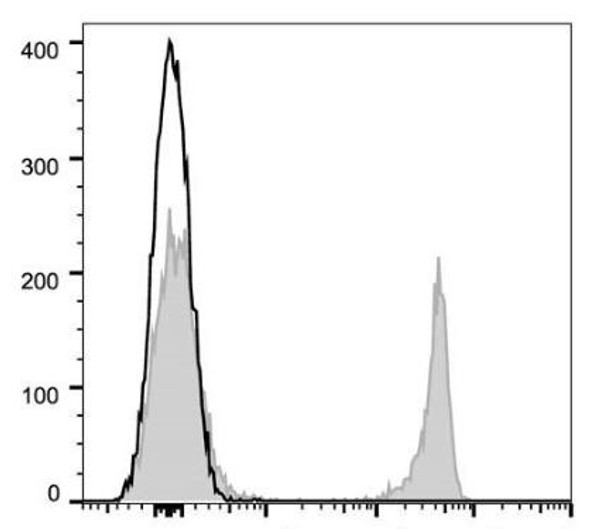 GenieFluor 647 Anti-Mouse CD8a Antibody [53-6.7] (AGEL1345)