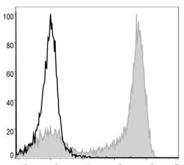 PE/Cyanine5 Anti-Mouse Ly6G Antibody [1A8] (AGEL1379)