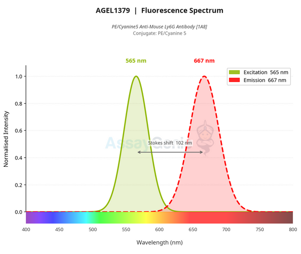 PE/Cyanine5 Anti-Mouse Ly6G Antibody [1A8] (AGEL1379)
