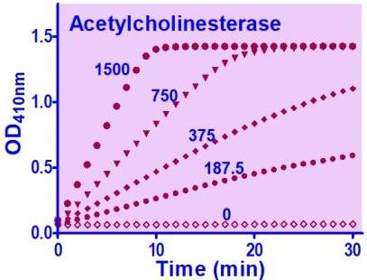 Acetylcholinesterase Reagent (BA0208)