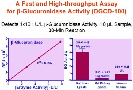 beta-Glucuronidase Assay Kit (BA0217)