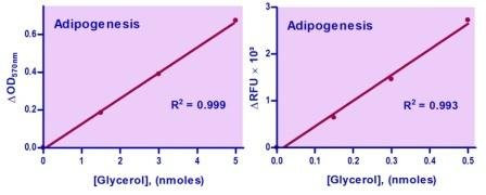 Adipogenesis Assay Kit (BA0236)