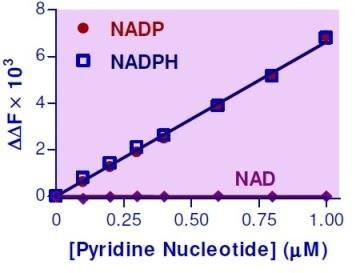 NADP/NADPH Assay Kit (BA0238)