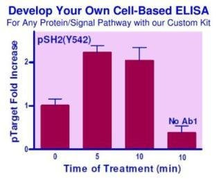 Custom Cell-Based ELISA Kit (BA0240)