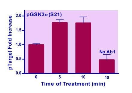 Human/Mouse GSK3A (S21) Phosphorylation ELISA Kit (BA0244)