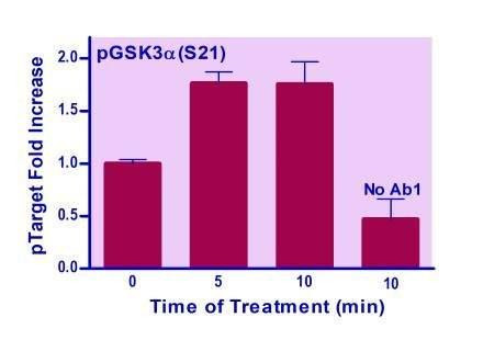 Human/Mouse GSK3A (S21) Phosphorylation ELISA Kit (BA0244)