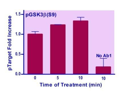 Human/Mouse GSK3B (S9) Phosphorylation ELISA Kit (BA0245)