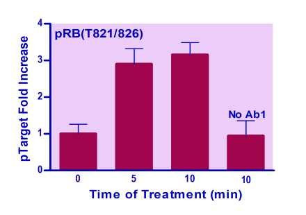 Human/Mouse RB (T821/826) Phosphorylation ELISA Kit (BA0253)