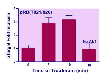 Human/Mouse RB (T821/826) Phosphorylation ELISA Kit (BA0253)
