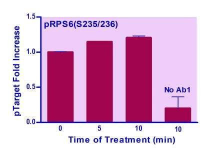 Human/Mouse RPS6 (S235/236) Phosphorylation ELISA (BA0254)