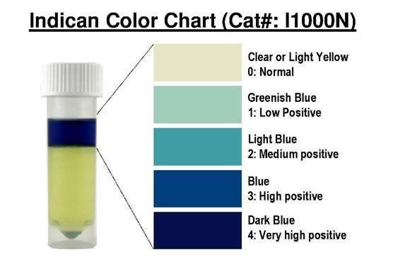 Urinary Indican Test Kit (BA0256)