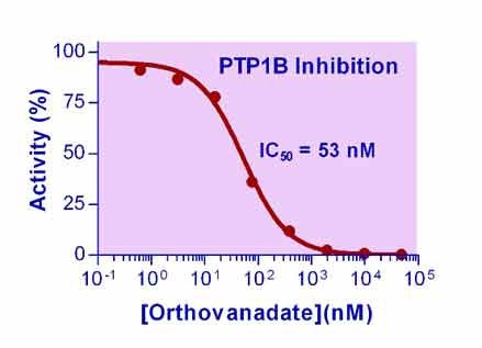 Phosphatase Inhibitor (Sodium Orthovanadate) (BA0260)