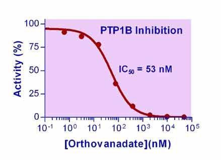 Phosphatase Inhibitor (Sodium Orthovanadate) (BA0260)