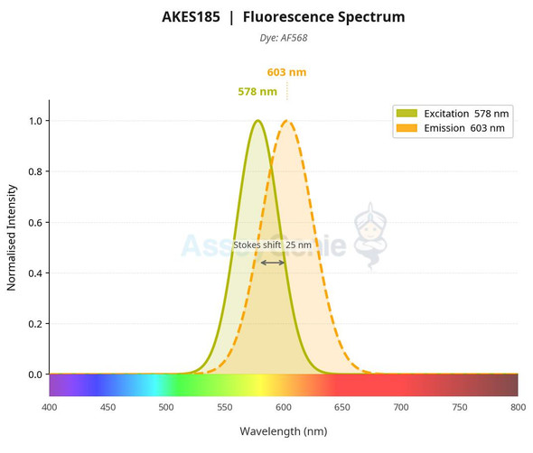 AF568 Labeling Kit (AKES185)
