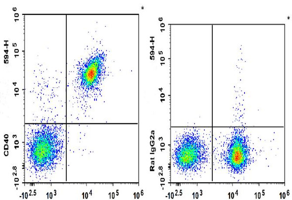 PE/GenieFluor 594 Anti-Mouse CD40 Antibody [FGK4.5/FGK45] (AGEL3187)