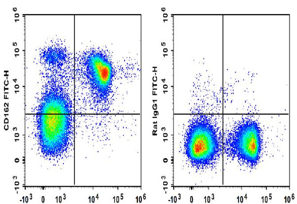 FITC Anti-Mouse CD162 Antibody [4RA10] (AGEL3191)