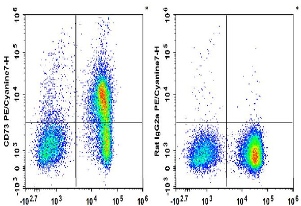 PE/Cyanine7 Anti-Mouse CD73 Antibody [TY/23] (AGEL3237)