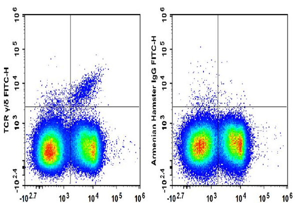 FITC Anti-Mouse TCR γ/δ Antibody [GL3] (AGEL3300)