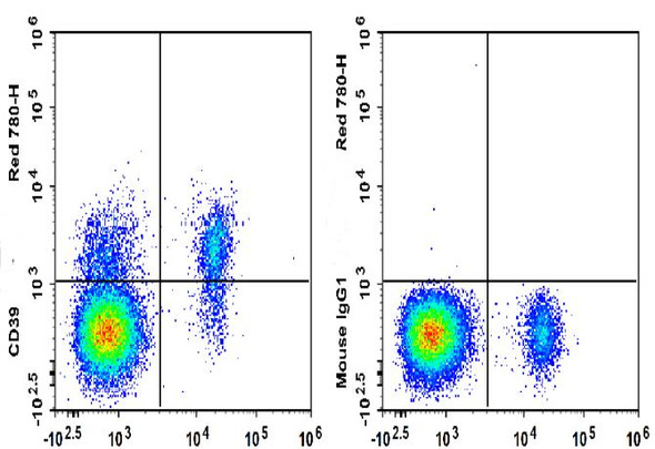 GenieFluor Red 780 Anti-Human CD39 Antibody [A1] (AGEL3326)