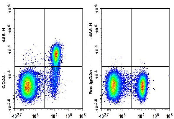 GenieFluor 488 Anti-Mouse CD23 Antibody [B3B4] (AGEL3327)