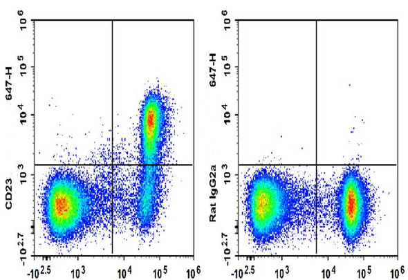 GenieFluor 647 Anti-Mouse CD23 Antibody [B3B4] (AGEL3330)