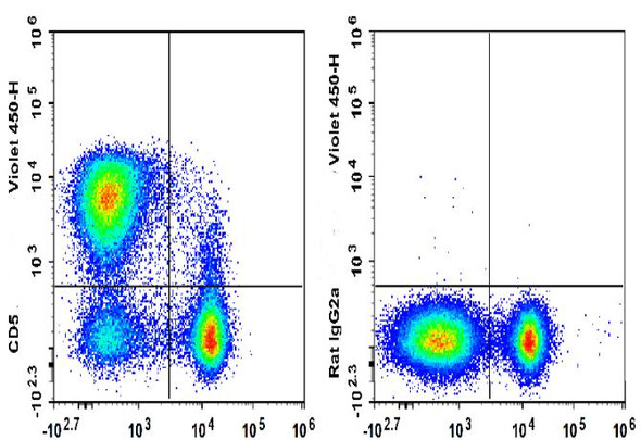 GenieFluor Violet 450 Anti-Mouse CD5 Antibody [53-7.3] (AGEL3337)