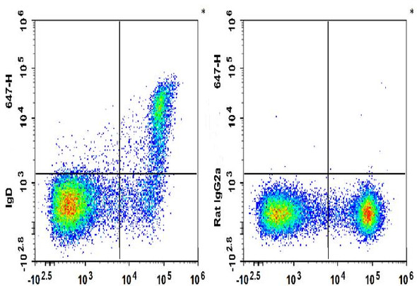 Biotin Anti-Mouse IgD Antibody [11-26c.2a] (AGEL3339)