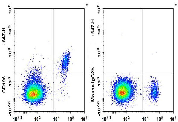 GenieFluor 647 Anti-Human CD196/CCR6 Antibody [G034E3] (AGEL3365)