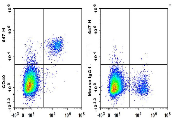 Biotin Anti-Human CD40 Antibody [G28.5] (AGEL3380)