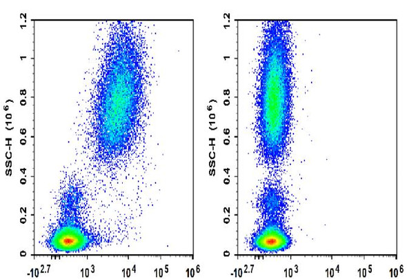 GenieFluor Red 780 Anti-Human CD66b Antibody [G10F5] (AGEL3388)