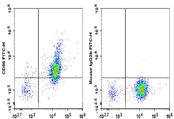 FITC Anti-Human CD86 Antibody [IT2.2] (AGEL3389)