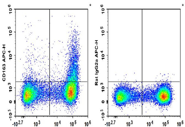 APC Anti-Mouse CD163 Antibody [S15049F] (AGEL3395)