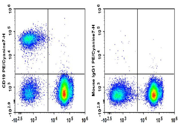 PE/Cyanine7 Anti-Human CD19 Antibody [HI19a] (AGEL3413)