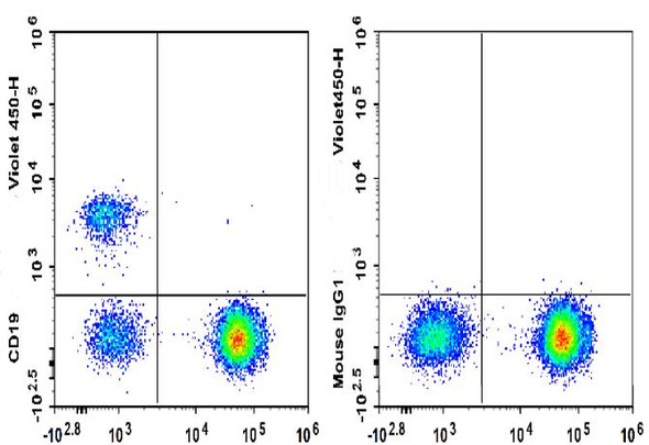 GenieFluor Violet 450 Anti-Human CD19 Antibody [HI19a] (AGEL3416)