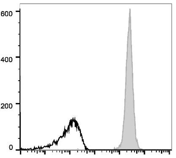 GenieFluor 647 Anti-Mouse CD45 Antibody [30-F11] (AGEL1676)