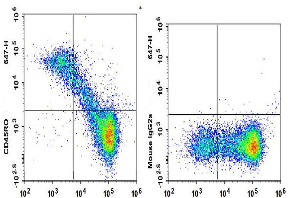 GenieFluor 647 Anti-Human CD45RO Antibody [UCHL1] (AGEL1705)